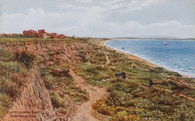 Klippen, Blick nach Osten, Barton-on-Sea von Alfred Robert Quinton